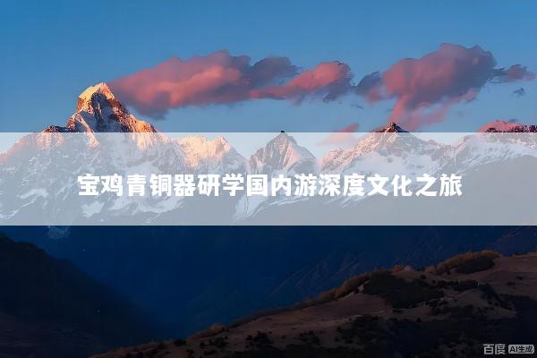 宝鸡青铜器研学国内游深度文化之旅