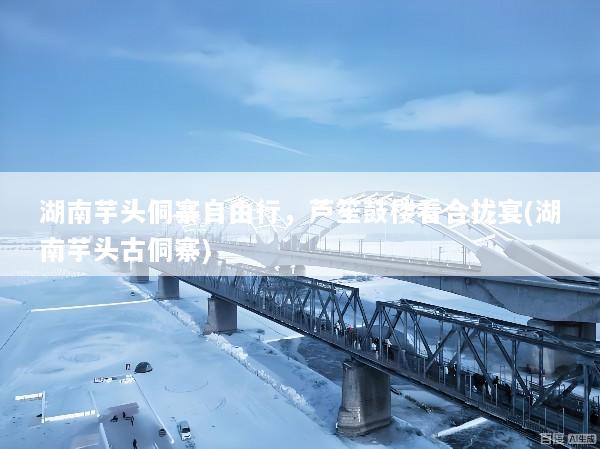 湖南芋头侗寨自由行，芦笙鼓楼看合拢宴(湖南芋头古侗寨)