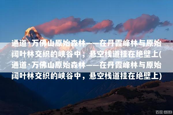 文章配图