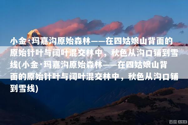 小金·玛嘉沟原始森林——在四姑娘山背面的原始针叶与阔叶混交林中，秋色从沟口铺到雪线(小金·玛嘉沟原始森林——在四姑娘山背面的原始针叶与阔叶混交林中，秋色从沟口铺到雪线)