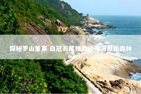 探秘罗山董寨 白冠长尾雉舞动淮河原始森林