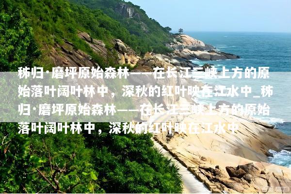 秭归·磨坪原始森林——在长江三峡上方的原始落叶阔叶林中，深秋的红叶映在江水中_秭归·磨坪原始森林——在长江三峡上方的原始落叶阔叶林中，深秋的红叶映在江水中