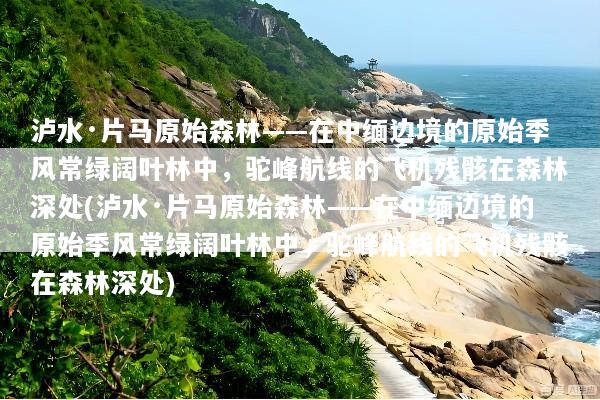 泸水·片马原始森林——在中缅边境的原始季风常绿阔叶林中，驼峰航线的飞机残骸在森林深处(泸水·片马原始森林——在中缅边境的原始季风常绿阔叶林中，驼峰航线的飞机残骸在森林深处)