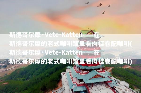 斯德哥尔摩·Vete-Katten——在斯德哥尔摩的老式咖啡馆里看肉桂卷配咖啡(斯德哥尔摩·Vete-Katten——在斯德哥尔摩的老式咖啡馆里看肉桂卷配咖啡)
