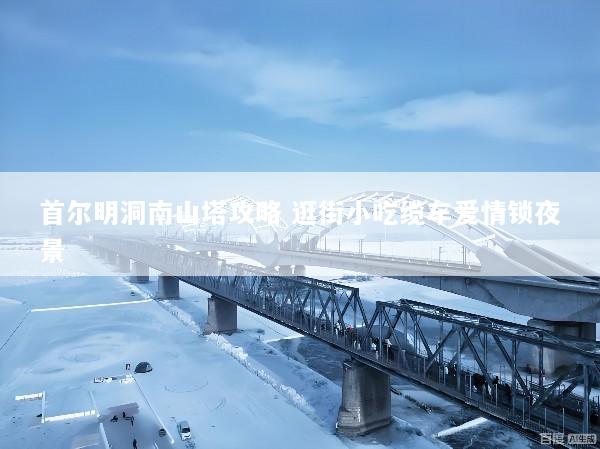 首尔明洞南山塔攻略 逛街小吃缆车爱情锁夜景